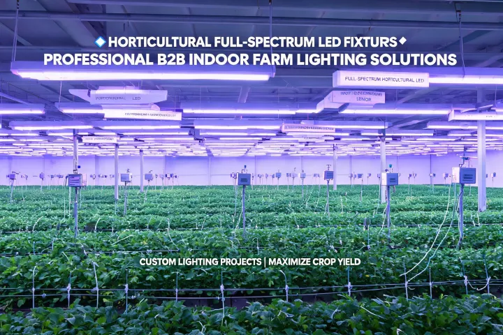 Fluence Services for Lighting Projects hero